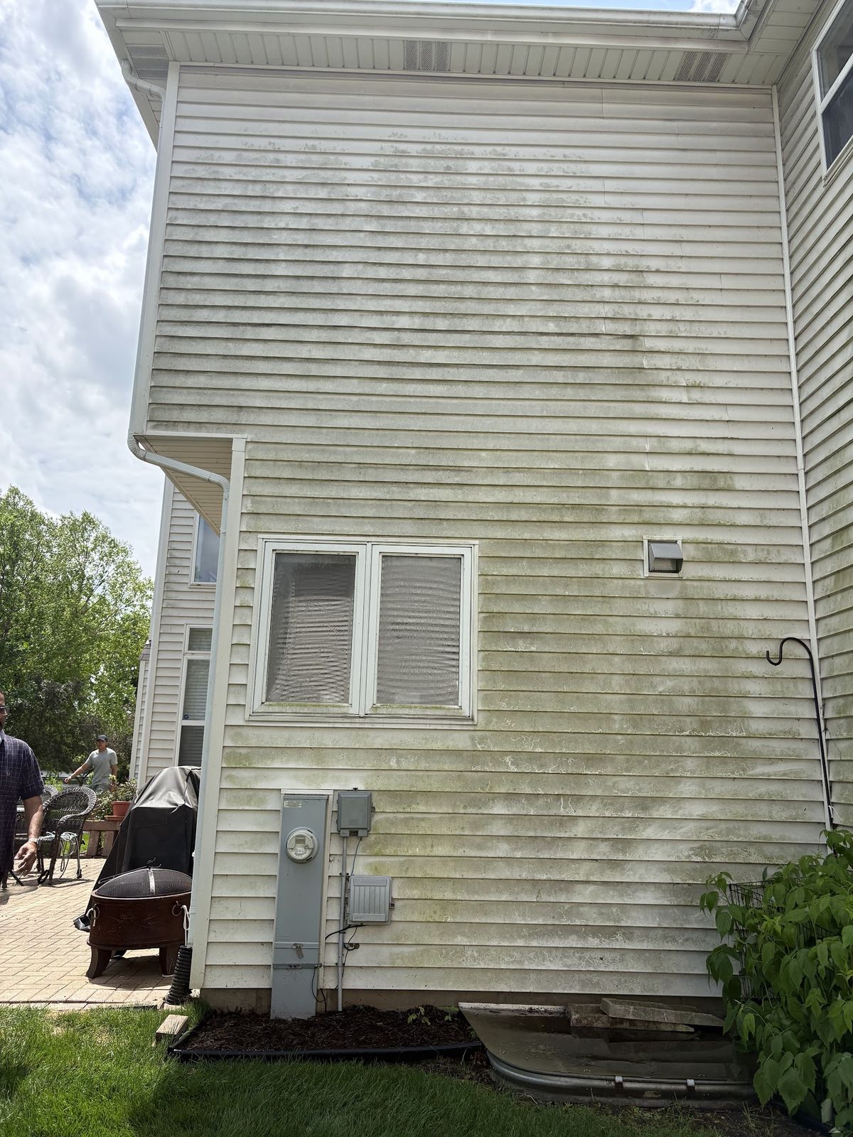 House siding covered in green algae before soft washing